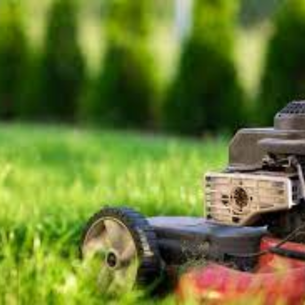 Weeding, Seeding, and Feeding