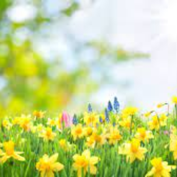 Could it be? Can it be? SPRING WEATHER?!