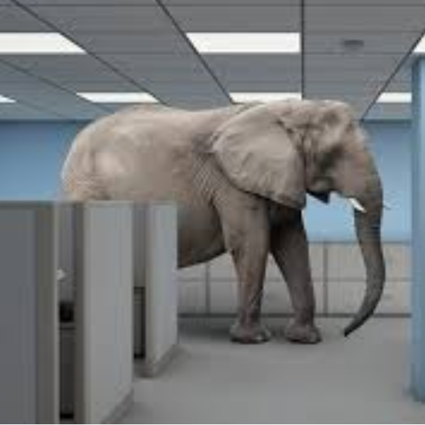 Elephant in the Room