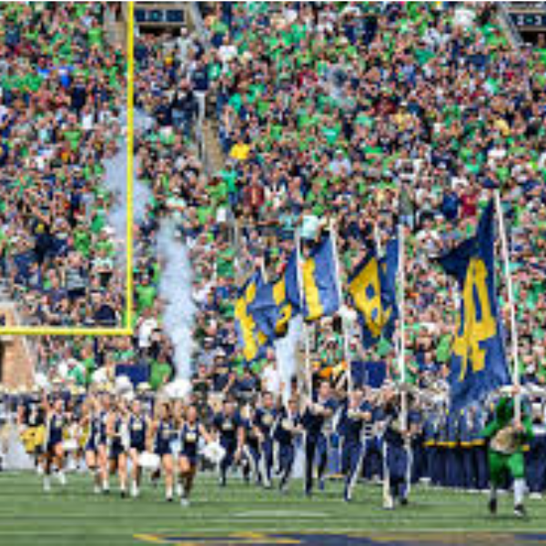 Grass Is Always Greener