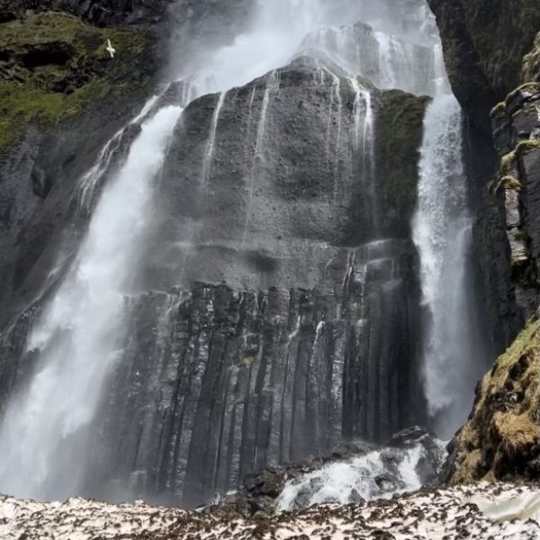 Seagulls at Bjarnarfoss