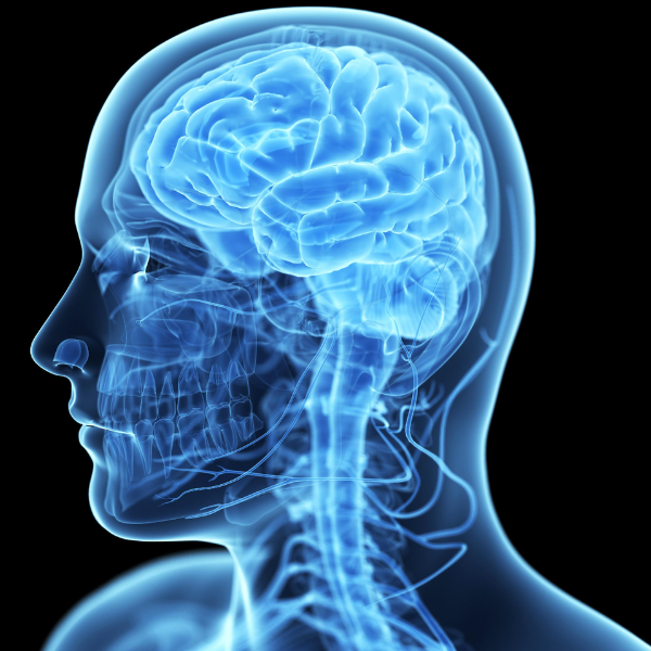 Keep Your Wits About You